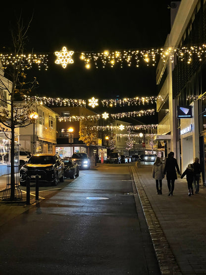 Icicle lights outdoor - 5 meter warm white.